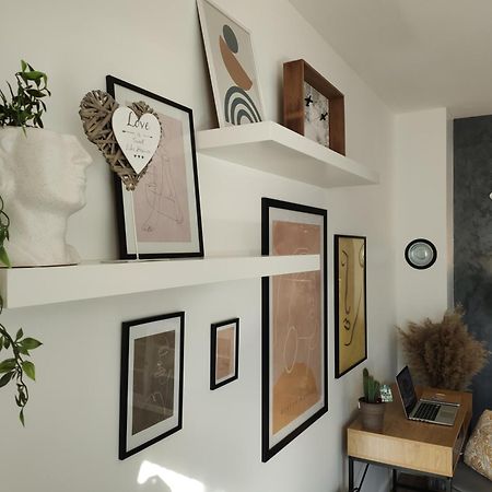 Apartment Rita Mokošica Rom bilde