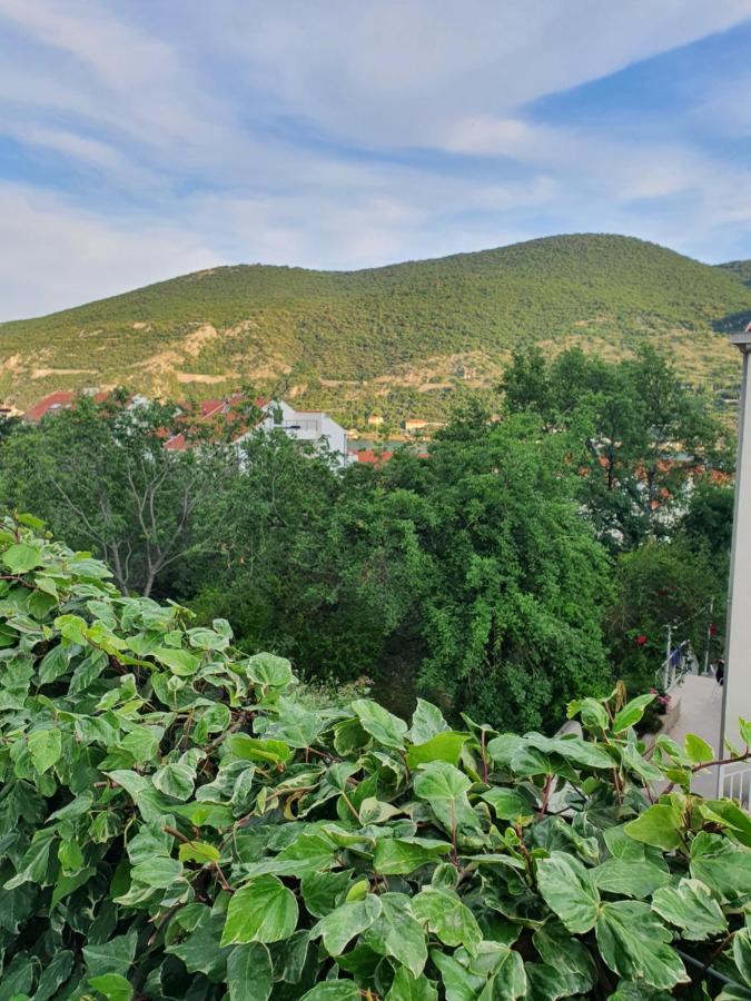 Apartment Rita Mokošica Eksteriør bilde